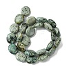 Natural Natural African Turquoise(Jasper) Beads Strands G-K365-B17-03-3