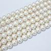 Natural Cultured Freshwater PearlBeads Strands PEAR-f001-31-01-2