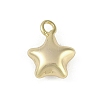 Brass Enamel Pendants KK-Z078-12G-1