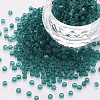 8/0 Transparent Glass Seed Beads SEED-S048-H-010-1