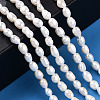 Natural Cultured Freshwater Pearl Beads Strands PEAR-N012-03I-6