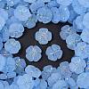 Frosted Transparent Acrylic Beads X1-OACR-P029-19B-01-1