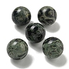 Natural Rhyolite Jasper Round Ball Figurines Statues for Home Office Desktop Decoration G-P532-02A-11-1