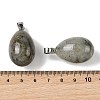 Natural Labradorite Pendants GG-K002-08A-01-3