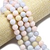 Natural Malaysia Jade Beads Strands G-L645-A01-14mm-26-4