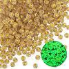 50G Luminous Transparent Acrylic Beads OACR-TAD0001-01Y-3