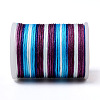 Segment Dyed Polyester Thread NWIR-I013-B-13-3