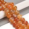 Natural Agate Beads Strands G-L595-A01-01B-1