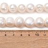 Natural Cultured Freshwater Pearl Beads Strands PA-CBABE82-12B-5