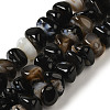 Natural Black Agate Beads Strands G-NH0017-B04-03-1