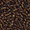 8/0 Glass Seed Beads X-SEED-A005-3mm-53-2