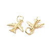 Rack Plating Brass Charms X-ZIRC-C042-09G-2