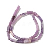 Natural Lepidolite/Purple Mica Stone Beads Strands G-E612-C05-B-3