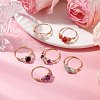 6Pcs Round Natural Rose Quartz & Amethyst & Fluorite & Carnelian & Amazonite & Red Agate Finger Ring RJEW-JR00754-S-2