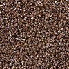 MIYUKI Delica Beads X-SEED-J020-DB0287-3