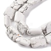 Natural Howlite Beads Strands G-T047-B28-20-4