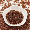 Baking Paint Glass Seed Beads X-SEED-S042-18B-01-2