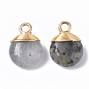 Natural Labradorite Pendants X-G-S359-021A-2