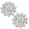 Iron Rhinestone & Glass Cabochons FIND-WH0366-419A-1