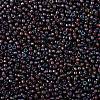 TOHO Round Seed Beads SEED-JPTR08-0382-2