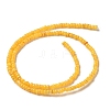 Natural Freshwater Shell Beads Strands SHEL-P017-01B-06-2