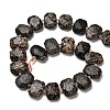 Natural Snowflake Obsidian Beads Strands G-H078-B22-01-3