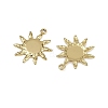 304 Stainless Steel Pendants STAS-D363-03G-2