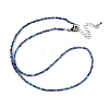 Natural Lapis Lazuli Beaded Necklaces NJEW-JN02492-01-2