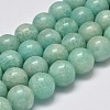 Natural Amazonite Beads Strands G-S333-6mm-022-1
