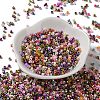 Baking Paint Glass Seed Beads X-SEED-S042-05A-13-2