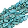 Natural Howlite Beads Strands G-N0312-01D-2