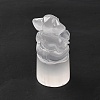 Natural Selenite Figurines DJEW-Q006-01D-3