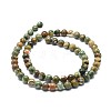 Natural Rhyolite Jasper Beads Strands G-F674-03AB-6mm-2