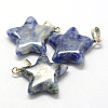 Star Natural Blue Spot Jasper Pendants G-Q367-17-2