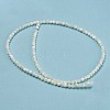 Natural Trochid Shell/Trochus Shell Beads Strands BSHE-Z005-04A-2