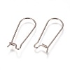 Tarnish Resistant 304 Stainless Steel Hoop Earrings Findings Kidney Ear Wires STAS-L216-22B-P-2