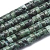 Natural African Turquoise(Jasper) Beads Strands G-A177-01L-12-1