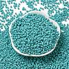 TOHO Round Seed Beads SEED-TR08-0055-1