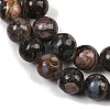Natural Glaucophane Beads Strands X-G-R485-12-8mm-5