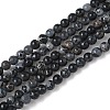 Dyed Natural Regalite/Imperial Jasper/Sea Sediment Jasper Beads Strands G-B124-C05-05-1