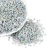 Picasso Glass Seed Beads SEED-Q041-02A-1