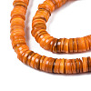 Natural Freshwater Shell Beads Strands X-BSHE-I016A-01G-3