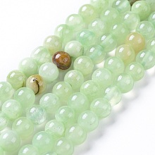 Natural Prehnite Beads Strands G-I261-E03-6mm