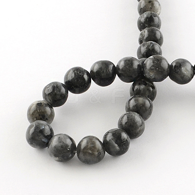 Natural Larvikite Round Beads Strands X-G-R342-6mm-09-1