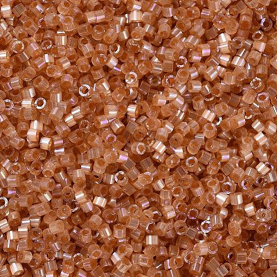 MIYUKI Delica Beads X-SEED-J020-DB1864-1