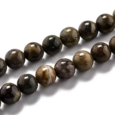 Round Natural Ocean Agate/Ocean Jasper Beads Strands G-O199-02A-1