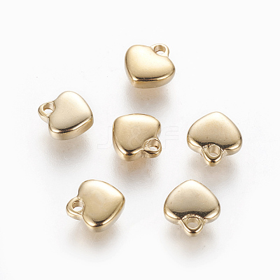 304 Stainless Steel Charms STAS-L233-024G-1
