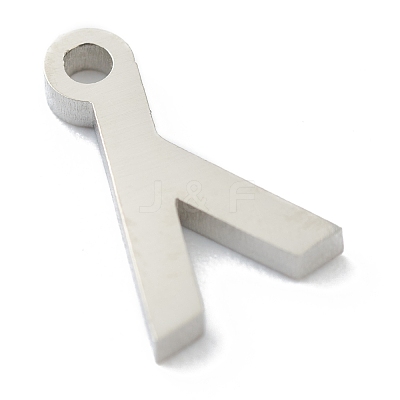 Non-Tarnish 304 Stainless Steel Charms STAS-G244-01L-1