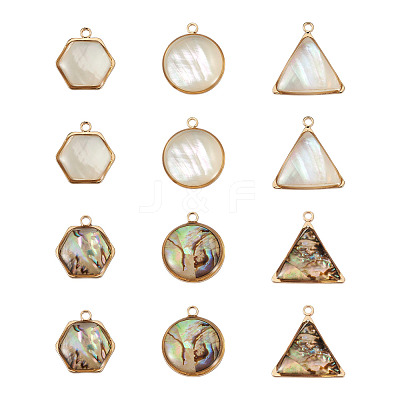 12Pcs 6 Styles Natural Shell Pendant Sets SHEL-CD0001-03-1