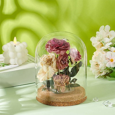 Glass Dome Cover AJEW-WH0248-550C-1